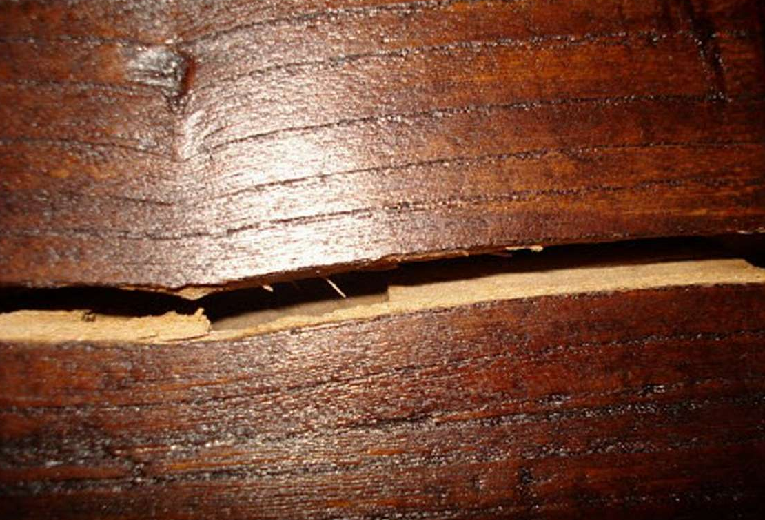 Các Giải Pháp Khi Xử Lý Gỗ Nứt